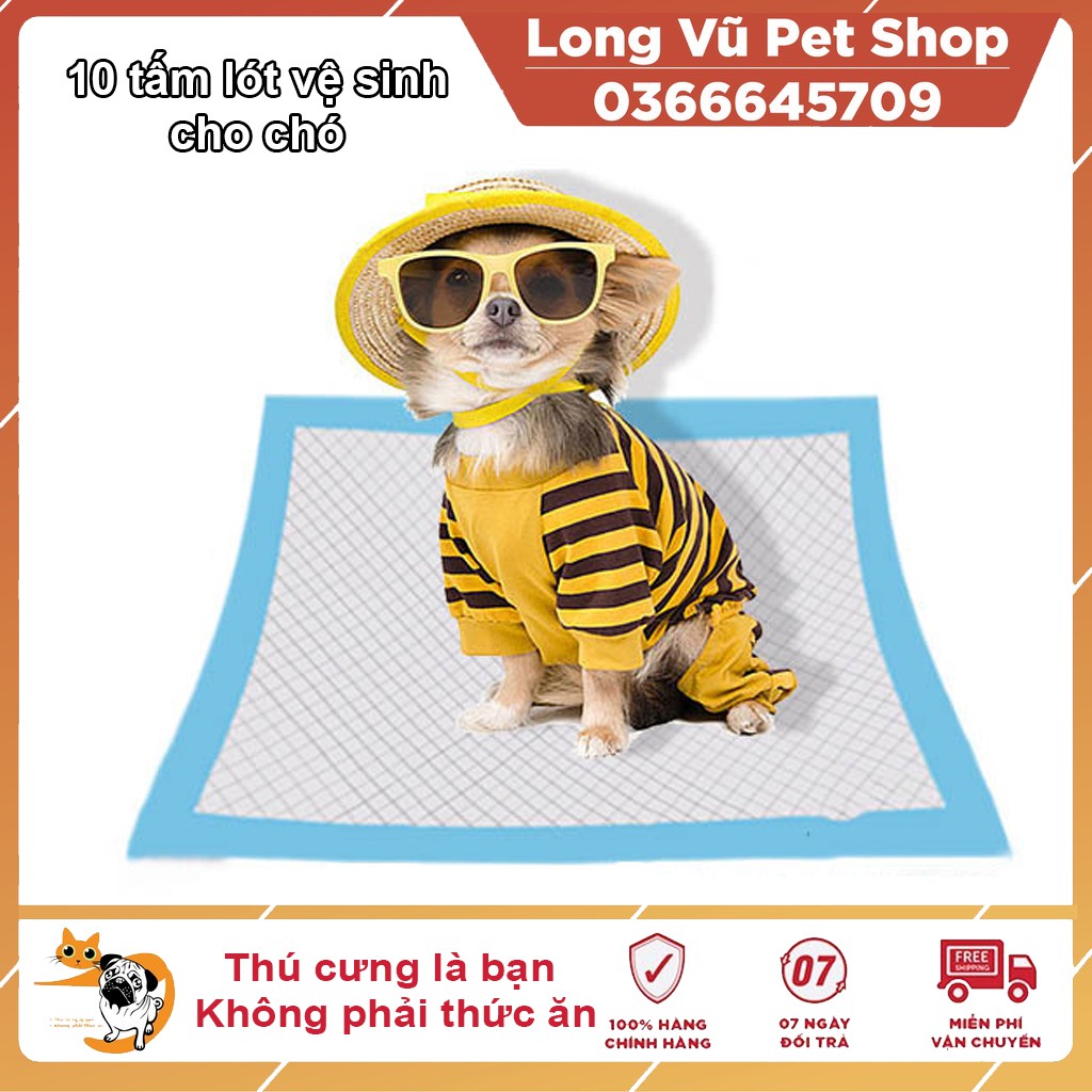 10 Tấm Lót Vệ Sinh Cho Thú Cưng Đủ Size