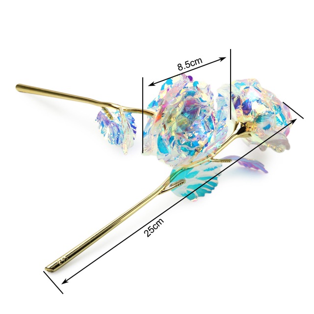 Hoa hồng Hologram có đèn với không đèn