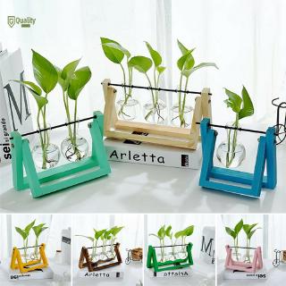Bộ bình thủy tinh trồng cây thủy sinh kiêm giá đỡ gỗ để bàn trang trí nội thất