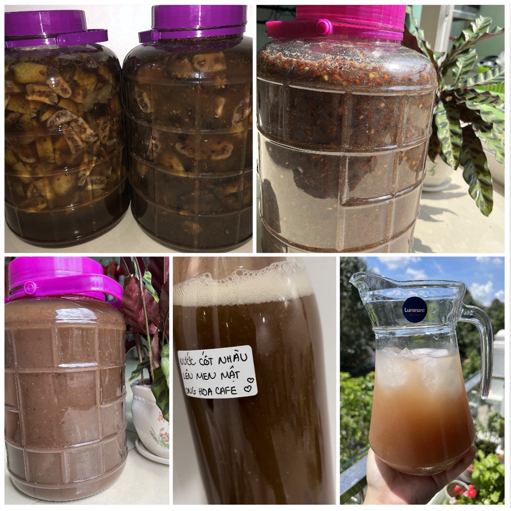 Nước Cốt Nhàu Ngâm Mật Ong Hoa Cà Phê Lên Men Tự Nhiên - Thuần Túc - chai 1 Lít
