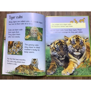 Usborne Beginners Series Science Collection 10 Books.
