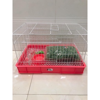 COMBO CHĂM SÓC THỎ BỌ SIZE LỚN