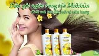 Dầu gội trầm hương