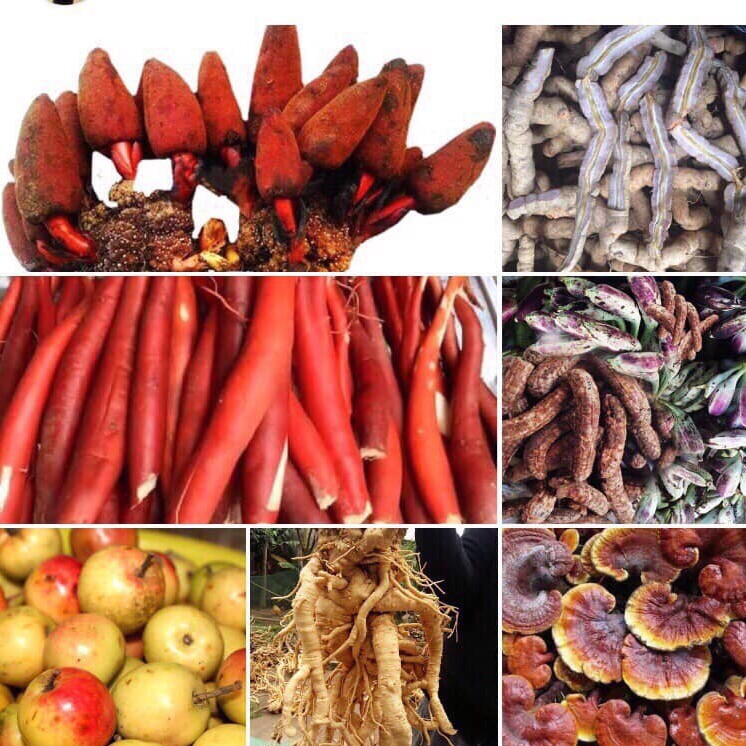 Thảo Dược Châu My 