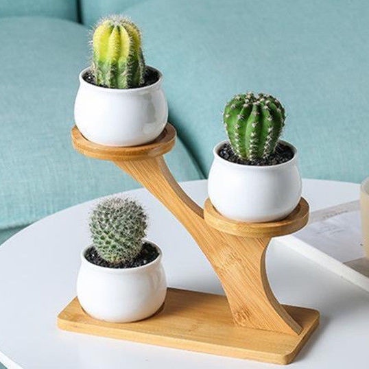 Giá Đỡ Chậu Hoa Bằng Tre Mini Dùng Trang Trí Phòng Khách / Ban Công