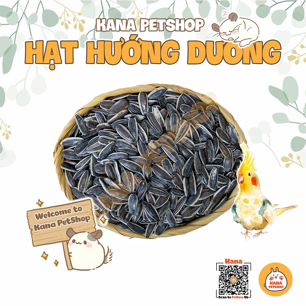 Hạt Hướng Dương FREESHIP 100G Hạt Hướng Dương Lớn - Nhỏ Cho Hamster , Sóc , Chim , Vẹt  .....