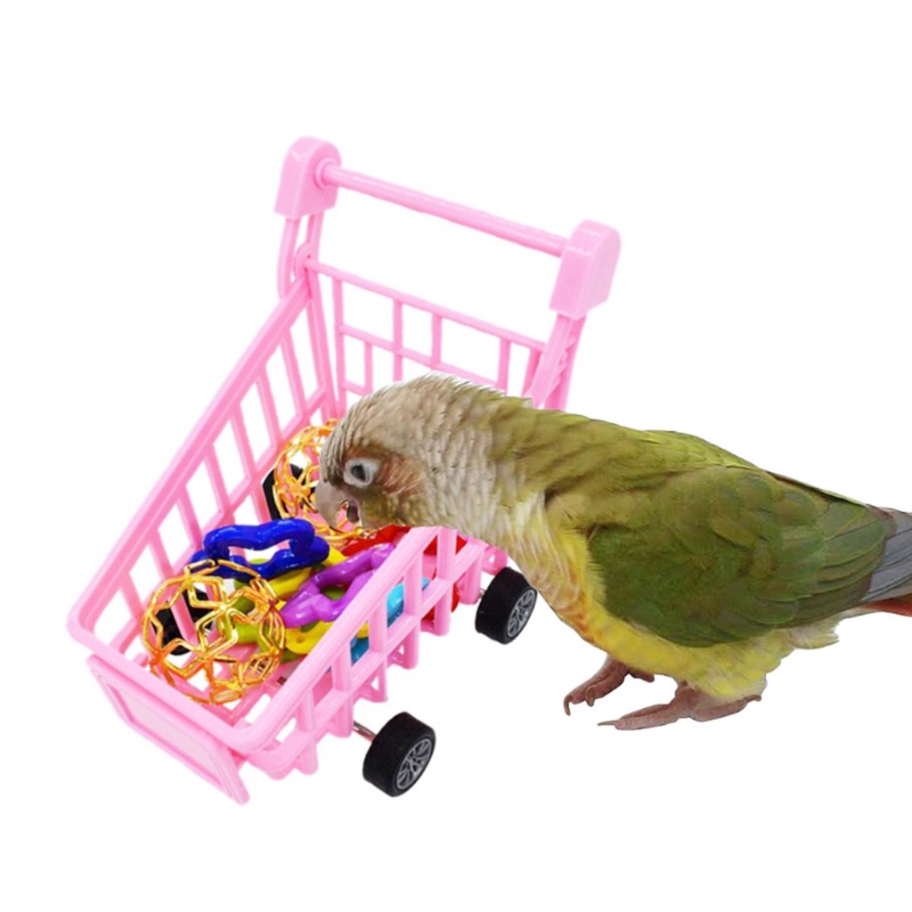 Bộ Đồ Chơi Bóng Gặm Mini Bằng Nhựa Vui Nhộn Cho Chim Cảnh