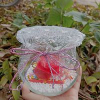 Lọ đựng hạc giấy và sao thuỷ tinh