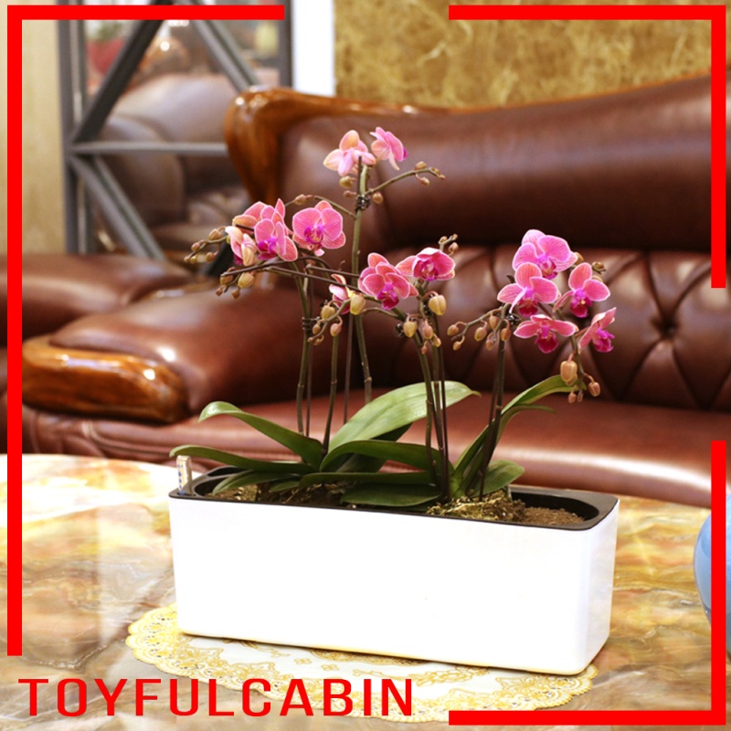 Bình Tưới Cây Tự Tưới Nước Hình Chữ Nhật Bằng Nhựa Màu Trắng