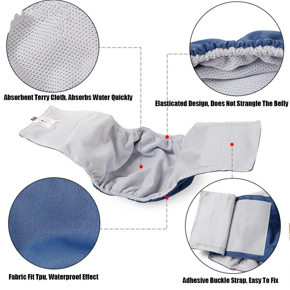 Layor1 Quần Sinh Lý Co Giãn Thiết Kế Dành Cho Cún Cưng