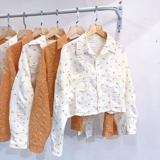 Sơ mi croptop tay dài