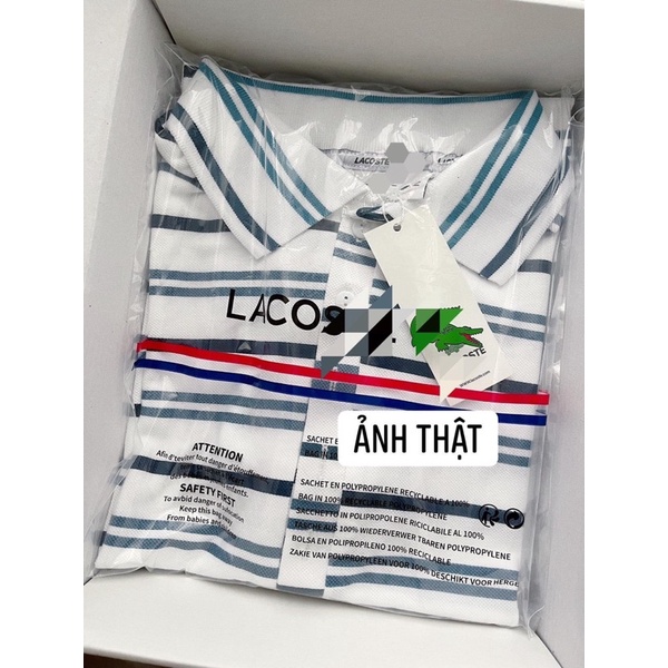 Áo polo kẻ lascotee