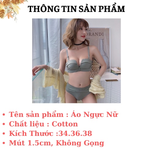 Áo Ngực Nữ Không Gọng Cúp Ngang - Áo Lót Nữ Nâng Ngực Tạo Khe, Mút Vừa AMY BRA A590