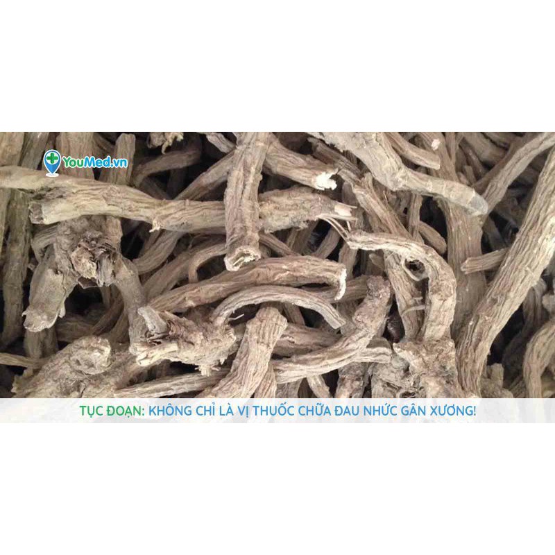 Tục Đoạn 500g hàng chuẩn chất lượng loại 1 khô, mới, sạch