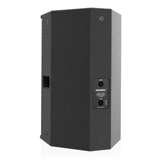 Loa Paramax Pro S30