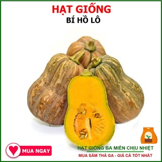2G - Hạt Giống Bí Hồ Lô