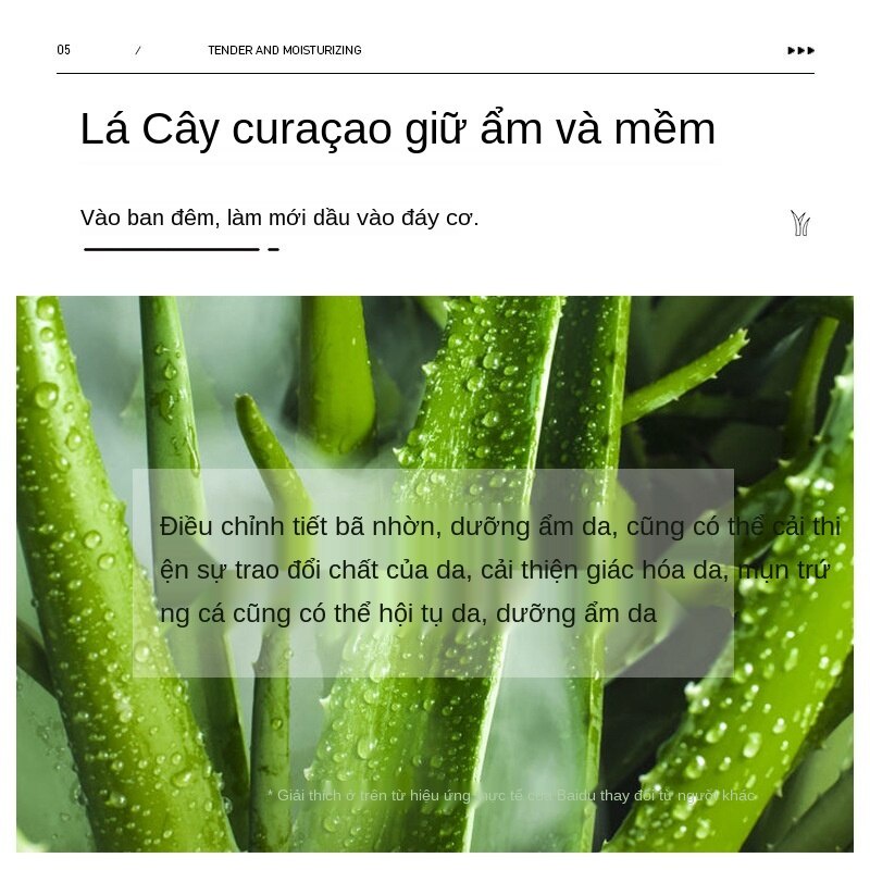 (Hàng Mới Về) 1 Mặt Nạ Bioaqua 4ml Tinh Chất Lô Hội Dưỡng Ẩm Kiềm Dầu Cho Da | BigBuy360 - bigbuy360.vn