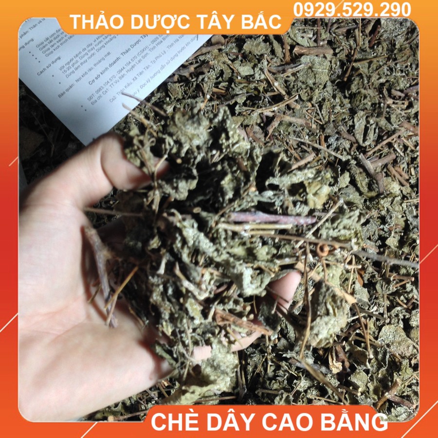 Trà Dây Cao Bằng [Hình Thật]