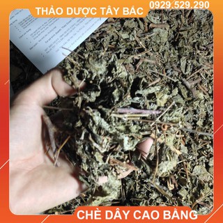 Trà Dây Cao Bằng [Hình Thật]
