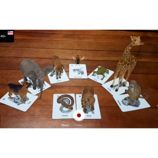 Bộ thẻ học 4D cho bé