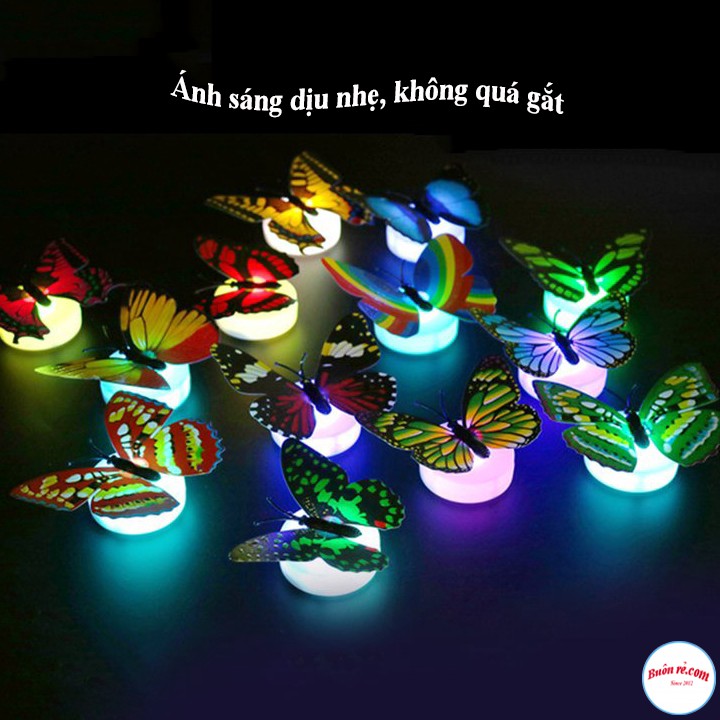 Mô Hình Bươm Bướm Tích Hợp Đèn LED Trang Trí Không Gian Độc Đáo Hot hit - br00597 | BigBuy360 - bigbuy360.vn