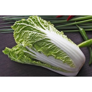 hạt giống cây cải thảo trắng (1gram) rau