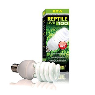 Bóng Đèn Sưởi Bò Sát Tiết Kiệm Năng Lượng 25W Exo Terra Reptile UVB 100 Hồ Cạn Nhiệt Đới Terrarium
