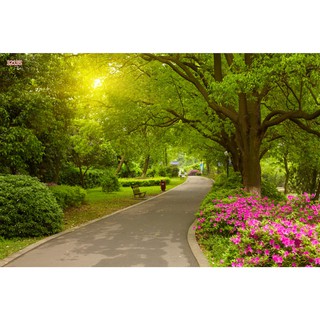 Tranh dán tường 3d phong cảnh thiên nhiên trang trí phòng khách chất liệu decal pp keo sẵn bóc dán atk14