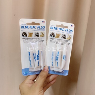 Men tiêu hoá Bene-Bac hộp 4 Ống cho cún mèo 🐶