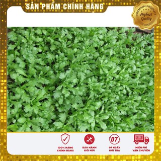 Hạt Giống Cải Cúc Nếp(20gr)