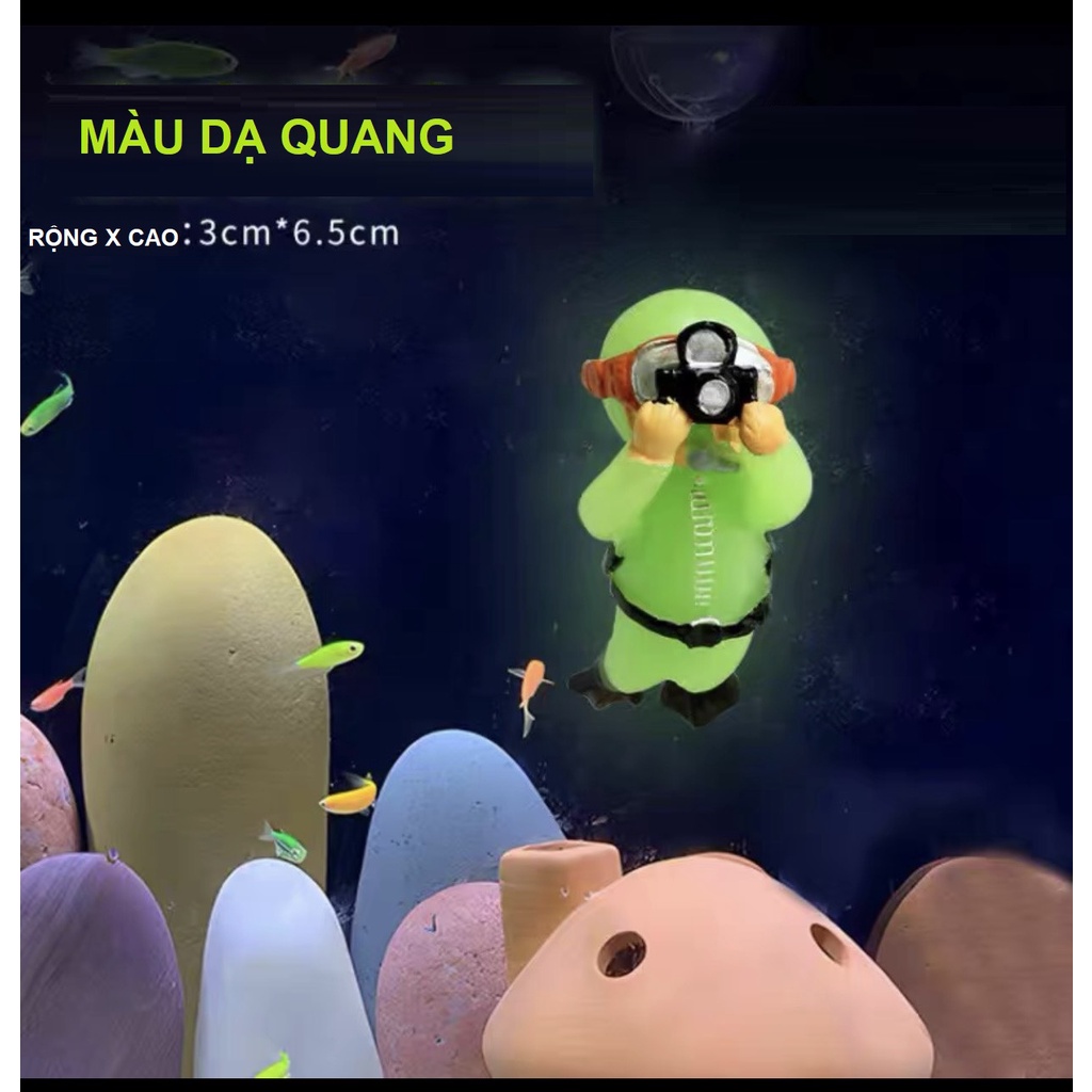 Trang Trí Hồ Cá Thợ Lặn