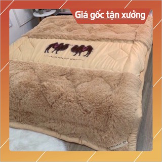 Chăn Lông Cừu Úc HÀNG NHẬP- Siêu ấm