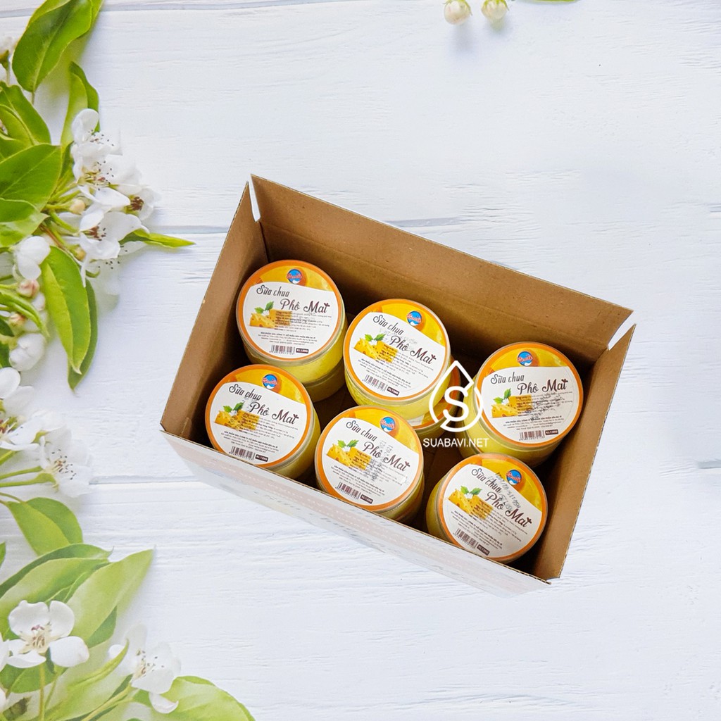 Sữa Chua Phô Mai Ba Vì - Zmilk - Hộp 12 Hũ