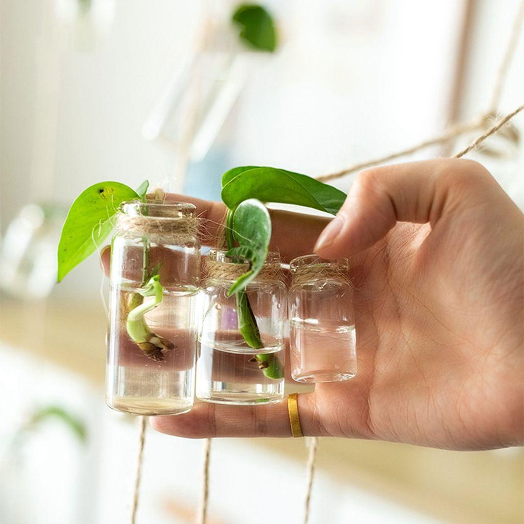 Bình Thủy Tinh Trồng Cây Thủy Canh Mini Kèm Chuông Gió Sáng Tạo Dùng Làm Đạo Cụ Chụp Ảnh
