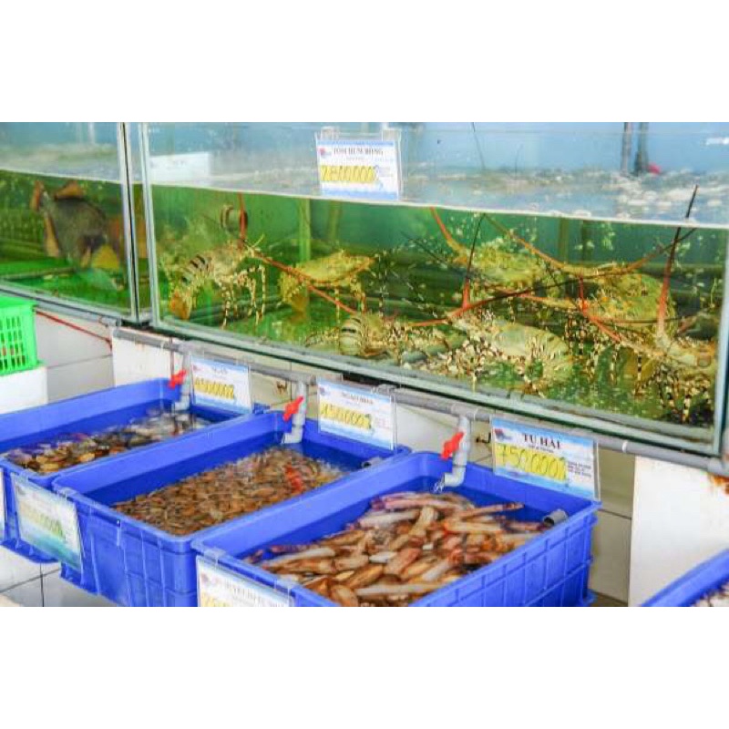 Thùng nhựa 6 sóng bít chuyên dùng trồng rau nuôi cá
