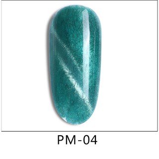 Sơn gel mắt mèo AS  mã PM chai 15ml