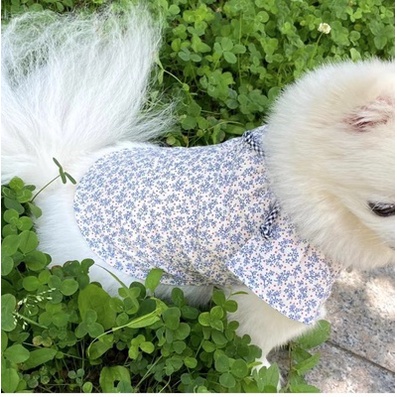 Áo tay bèo hoa nhí dành cho thú cưng