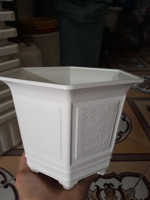 Chậu nhựa lục giác size 16x13cm trồng cây siêu xinh