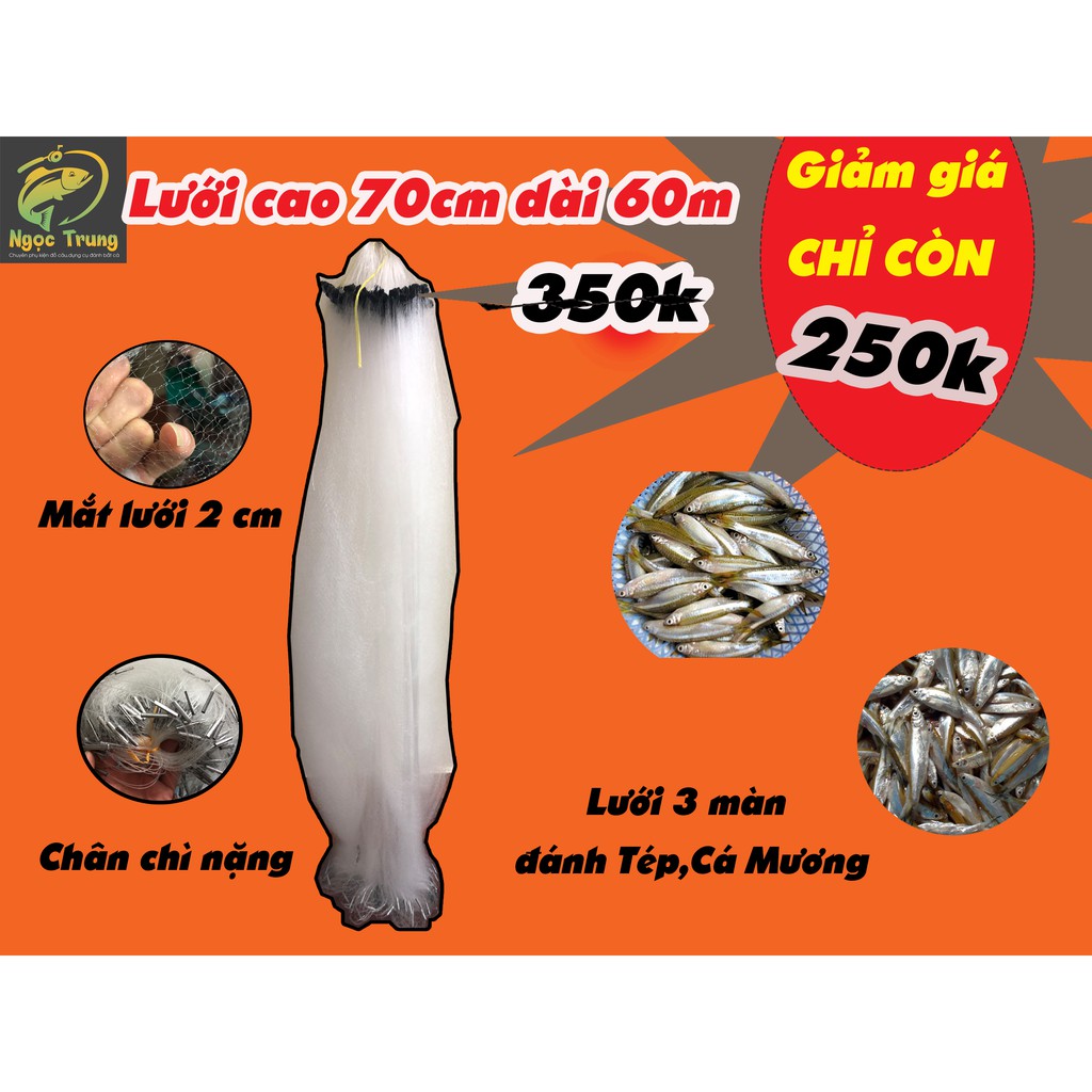 Lưới bắt Tép, đánh Cá Mương, Cá Lòng Tong - Cao 70cm dài 60m