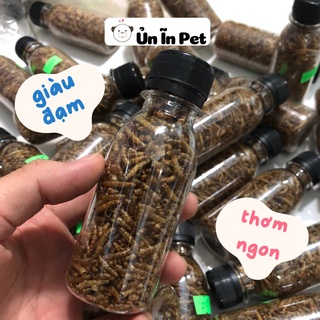Đồ ăn hamster, SÂU SẤY cung cấp đạm