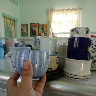 Chậu gốm sứ trồng sen đá