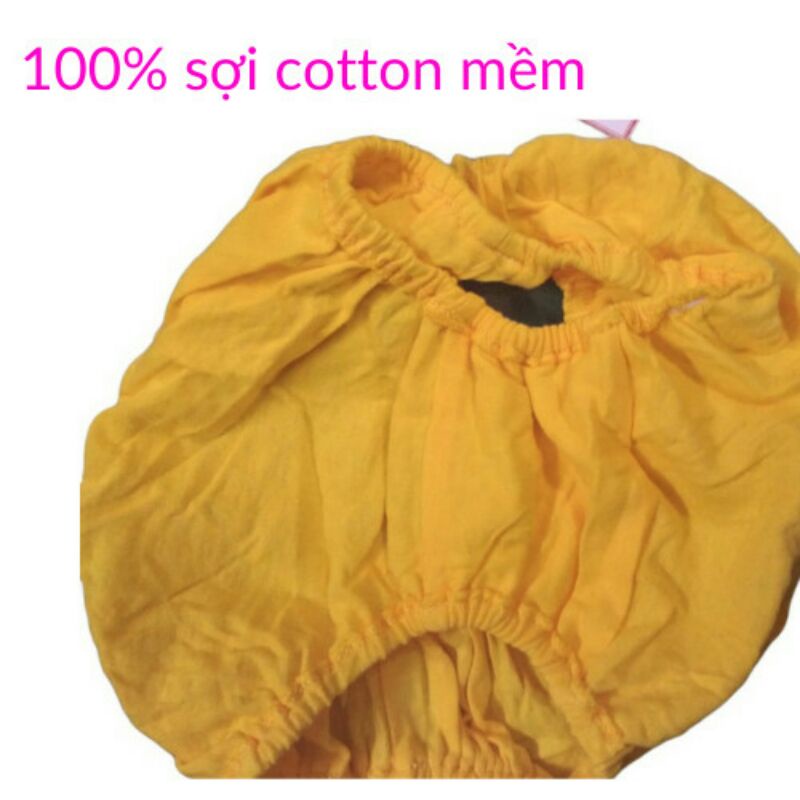 Quần chip bé gái cotton chất lượng cao