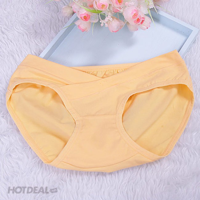 (Combo 4) quần lót bầu cạp chéo Beautiful Spring