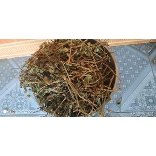 1kg Cà gai leo khô