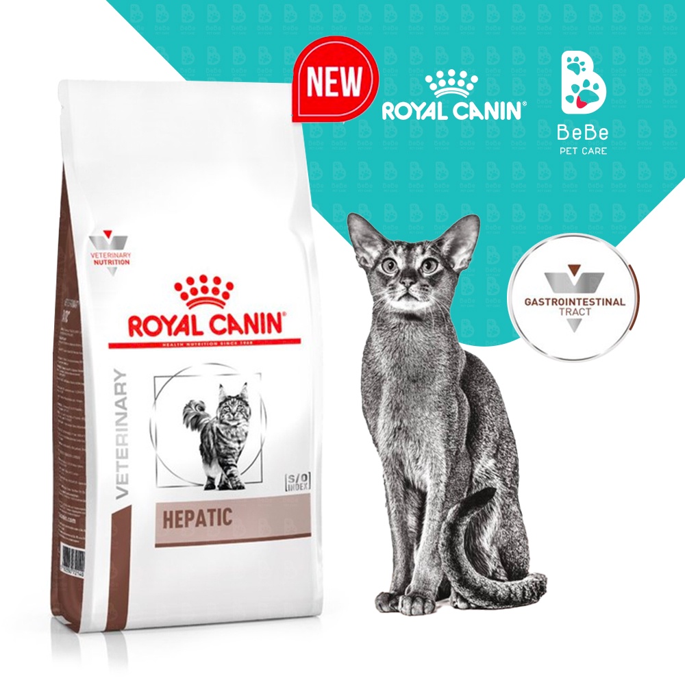 [2Kg] Hạt ROYAL CANIN Hepatic - Thức Ăn Hạt Hỗ Trợ Chức Năng Gan Cho Mèo