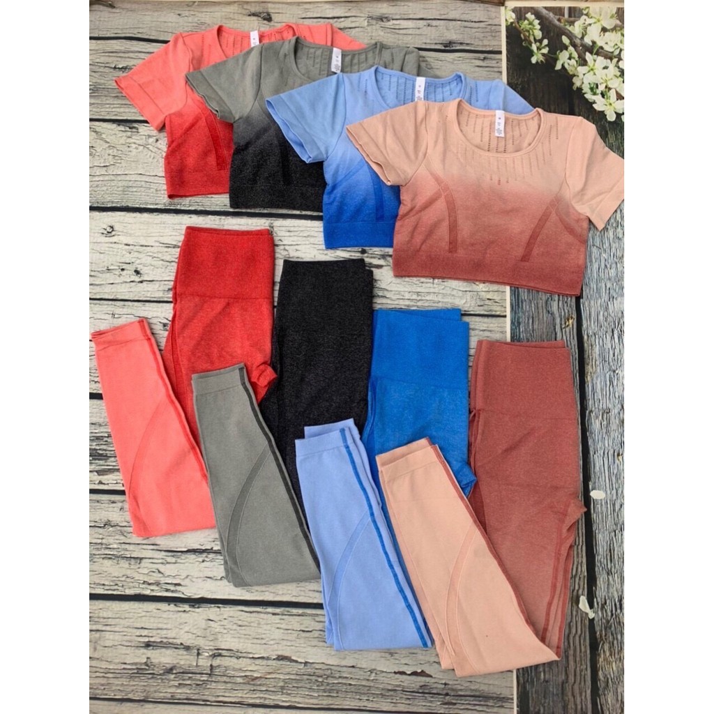 Đồ tập gym nữ, set bộ dệt kim ombre áo crop kèm mút quần dài cao cấp Bin Sports BD049