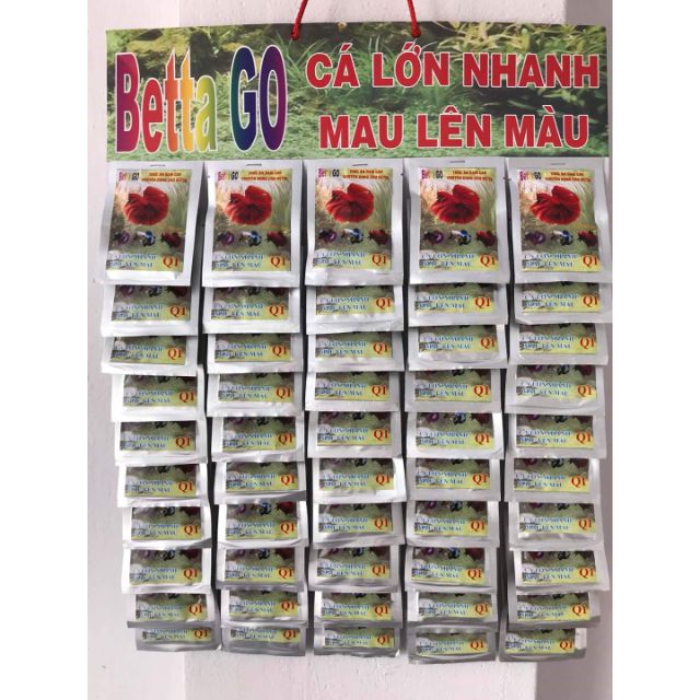 CÁM CÁ , THỨC ĂN CHO CÁ BETTA , CÁ XIÊM ĐÁ