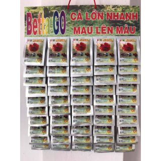 CÁM CÁ , THỨC ĂN CHO CÁ BETTA , CÁ XIÊM ĐÁ