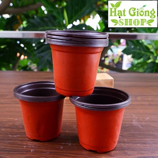 Chậu nhựa trồng cây, chậu ươm cây mỏng 8,5x7