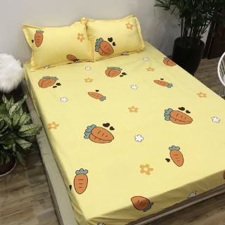 Ga chống thấn cotton củ cà rốt